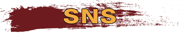 SNS